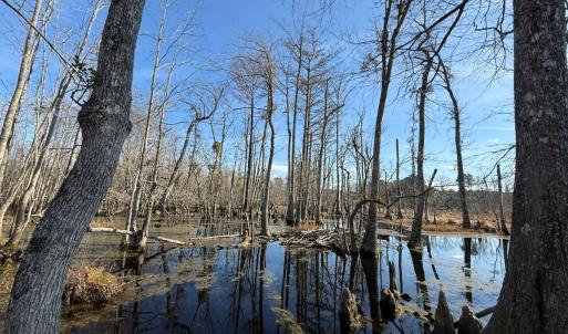 Photo #7 of Off JA Carroll Road, Bladenboro, NC 44.4 acres