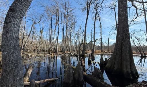 Photo #8 of Off JA Carroll Road, Bladenboro, NC 44.4 acres