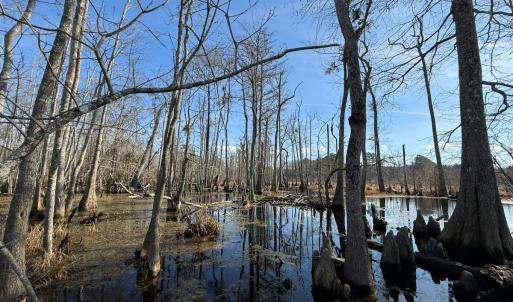Photo #9 of Off JA Carroll Road, Bladenboro, NC 44.4 acres