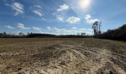 Photo #42 of Off JA Carroll Road, Bladenboro, NC 44.4 acres