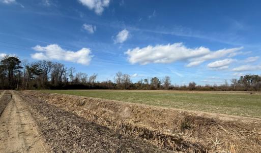 Photo #44 of Off JA Carroll Road, Bladenboro, NC 44.4 acres