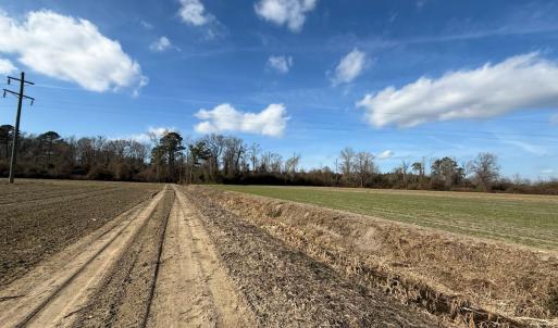 Photo #45 of Off JA Carroll Road, Bladenboro, NC 44.4 acres