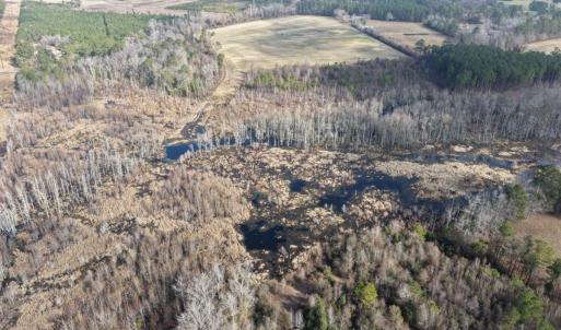 Photo #46 of Off JA Carroll Road, Bladenboro, NC 44.4 acres