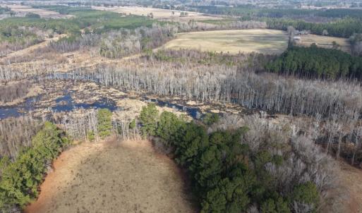 Photo #49 of Off JA Carroll Road, Bladenboro, NC 44.4 acres
