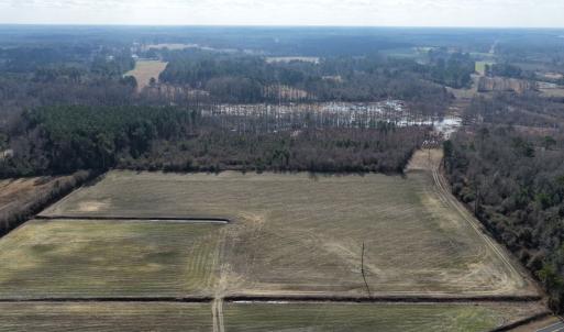 Photo #57 of Off JA Carroll Road, Bladenboro, NC 44.4 acres