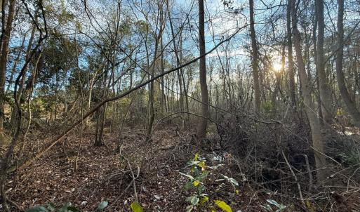 Photo #14 of Off NC 410 Hwy, Bladenboro, NC 14.5 acres