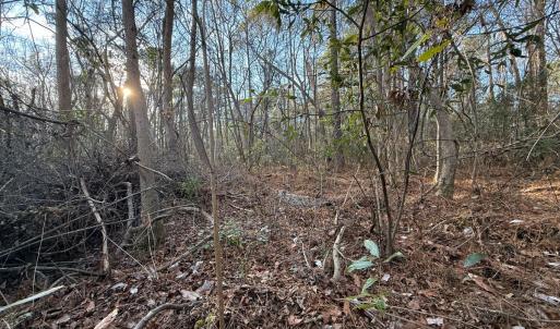 Photo #15 of Off NC 410 Hwy, Bladenboro, NC 14.5 acres