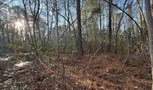 Photo #19 of Off NC 410 Hwy, Bladenboro, NC 14.5 acres