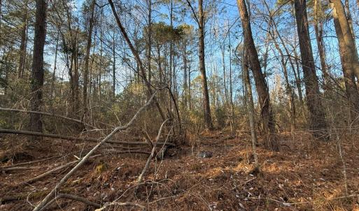 Photo #20 of Off NC 410 Hwy, Bladenboro, NC 14.5 acres