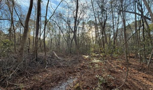 Photo #21 of Off NC 410 Hwy, Bladenboro, NC 14.5 acres