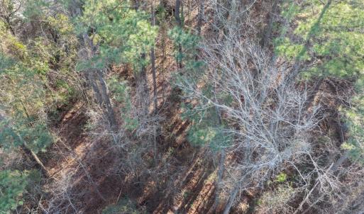 Photo #25 of Off NC 410 Hwy, Bladenboro, NC 14.5 acres