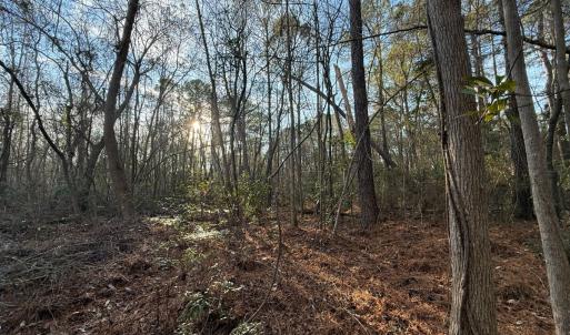 Photo #26 of Off NC 410 Hwy, Bladenboro, NC 14.5 acres