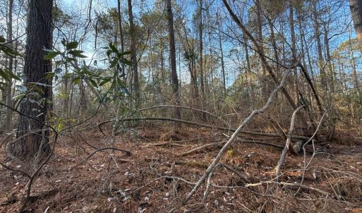 Photo #27 of Off NC 410 Hwy, Bladenboro, NC 14.5 acres