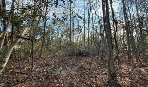 Photo #29 of Off NC 410 Hwy, Bladenboro, NC 14.5 acres