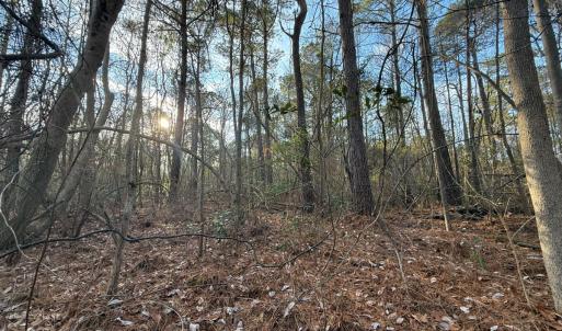 Photo #30 of Off NC 410 Hwy, Bladenboro, NC 14.5 acres