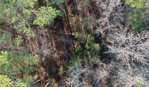 Photo #31 of Off NC 410 Hwy, Bladenboro, NC 14.5 acres