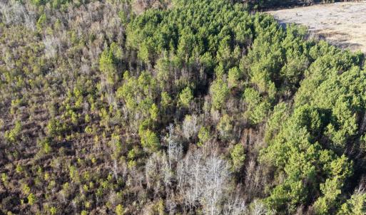 Photo #32 of Off NC 410 Hwy, Bladenboro, NC 14.5 acres