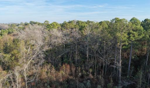 Photo #34 of Off NC 410 Hwy, Bladenboro, NC 14.5 acres