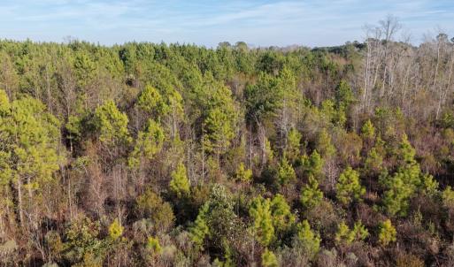 Photo #36 of Off NC 410 Hwy, Bladenboro, NC 14.5 acres