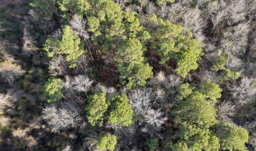 Photo #39 of Off NC 410 Hwy, Bladenboro, NC 14.5 acres