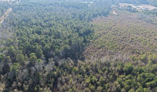 Photo #5 of Off NC 410 Hwy, Bladenboro, NC 14.5 acres