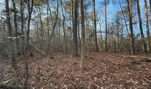 Photo #7 of Off NC 410 Hwy, Bladenboro, NC 14.5 acres
