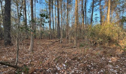 Photo #8 of Off NC 410 Hwy, Bladenboro, NC 14.5 acres