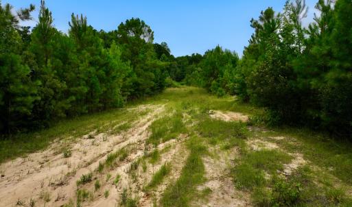 Photo #7 of Off  US 64 Bypass, Tarboro, NC 45.0 acres