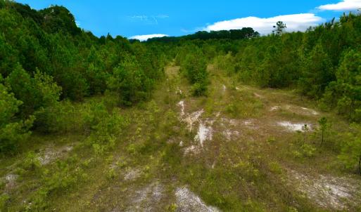 Photo #11 of Off  US 64 Bypass, Tarboro, NC 45.0 acres