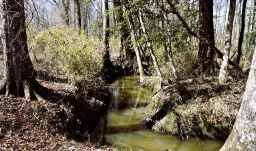 Photo #12 of Off  US 64 Bypass, Tarboro, NC 45.0 acres