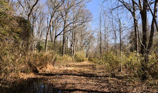 Photo #13 of Off  US 64 Bypass, Tarboro, NC 45.0 acres