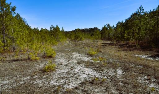 Photo #21 of Off  US 64 Bypass, Tarboro, NC 45.0 acres