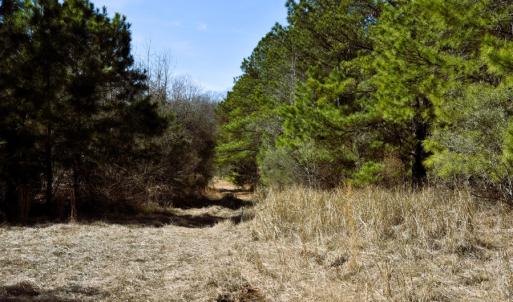 Photo #23 of Off  US 64 Bypass, Tarboro, NC 45.0 acres