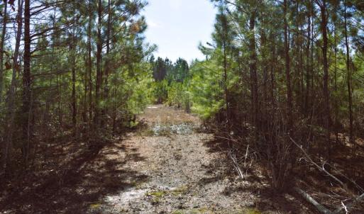 Photo #25 of Off  US 64 Bypass, Tarboro, NC 45.0 acres