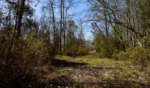 Photo #32 of Off  US 64 Bypass, Tarboro, NC 45.0 acres