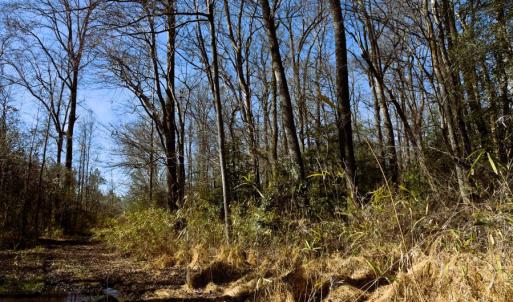 Photo #33 of Off  US 64 Bypass, Tarboro, NC 45.0 acres