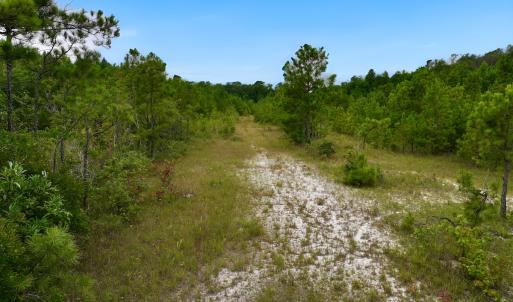 Photo #5 of Off  US 64 Bypass, Tarboro, NC 45.0 acres