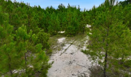 Photo #37 of Off  US 64 Bypass, Tarboro, NC 45.0 acres