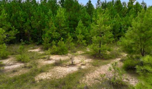 Photo #44 of Off  US 64 Bypass, Tarboro, NC 45.0 acres