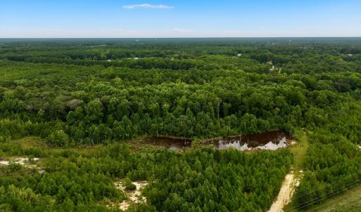 Photo #41 of Off  US 64 Bypass, Tarboro, NC 45.0 acres