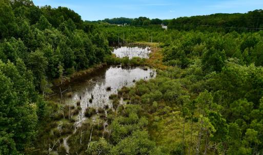 Photo #43 of Off  US 64 Bypass, Tarboro, NC 45.0 acres