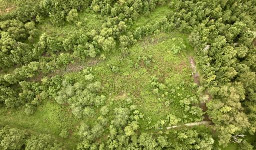 Photo #55 of Off  US 64 Bypass, Tarboro, NC 45.0 acres