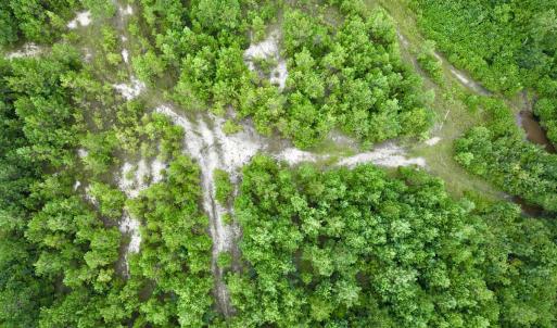 Photo #56 of Off  US 64 Bypass, Tarboro, NC 45.0 acres