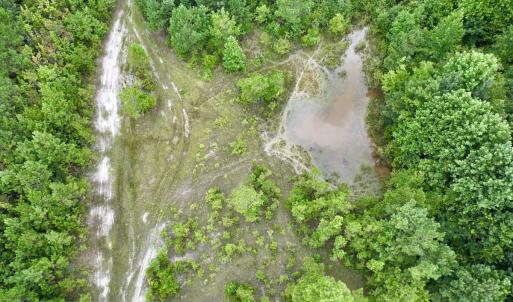 Photo #57 of Off  US 64 Bypass, Tarboro, NC 45.0 acres