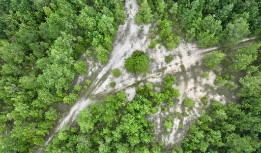 Photo #58 of Off  US 64 Bypass, Tarboro, NC 45.0 acres