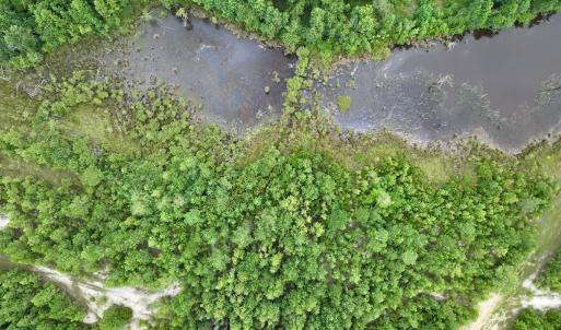 Photo #59 of Off  US 64 Bypass, Tarboro, NC 45.0 acres