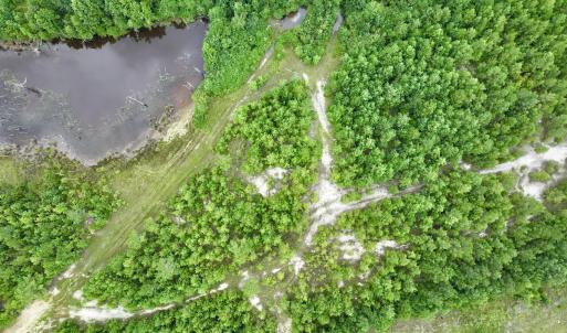 Photo #60 of Off  US 64 Bypass, Tarboro, NC 45.0 acres