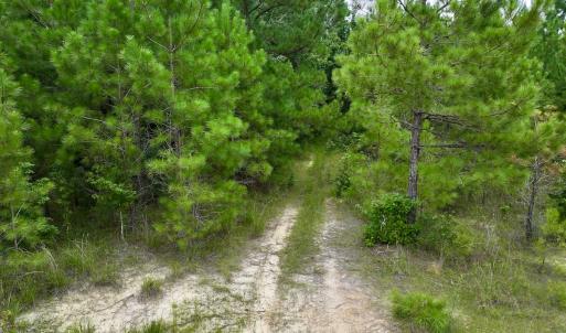 Photo #61 of Off  US 64 Bypass, Tarboro, NC 45.0 acres