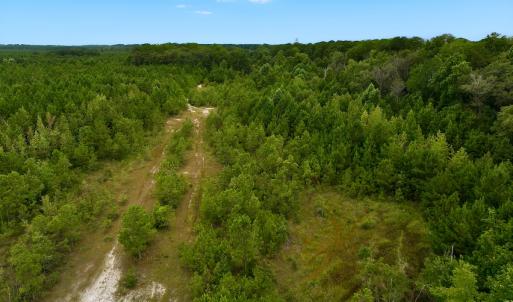 Photo #46 of Off  US 64 Bypass, Tarboro, NC 45.0 acres