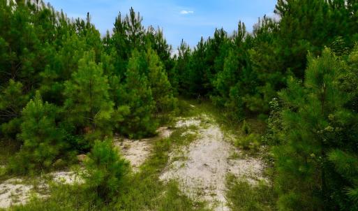 Photo #50 of Off  US 64 Bypass, Tarboro, NC 45.0 acres